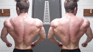 How To Get An Aesthetic V Taper And A Tiny Waist [upl. by Sacha]