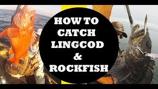 How to Catch Rockfish and Lingcod  Tips and Techniques [upl. by Ennis]