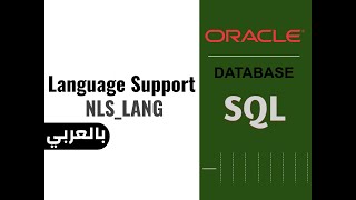 0  Change ORACLE Language NLSLANG  Arabic Support [upl. by Iruahs850]