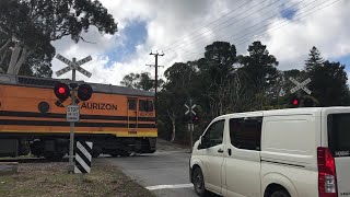 Carey Gully Rd Level Crossing Bridgewater SA [upl. by Lillian745]