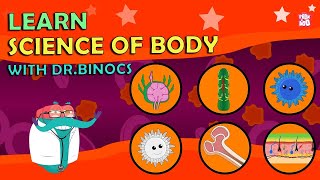 Look Inside The Human Body With Dr Binocs [upl. by Marcel273]