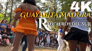 Guayabita Madura Rancheros Del Sur Hn Album Navideño [upl. by Lothair]