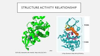 BCRABL Tyrosine Kinase Inhibitors  NC SE TS [upl. by Aiset]