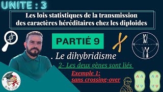 UNITÉ 3  Parti 9 le dihybridisme gènes liés  Crossingover  La distance  La carte factorielle [upl. by Lodge]