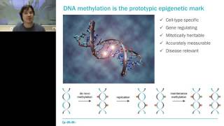 DNA methylation analysis by multiplexed reduced representation bisulfite sequencing RRBS [upl. by Janeczka]