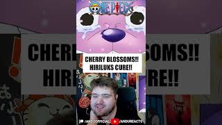 Cherry Blossoms Hiriluks Cure  One Piece onepiece onepiecereaction reaction anime [upl. by Annabal712]