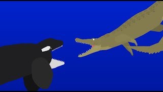 Saltwater Crocodile vs Orca Part 2 [upl. by Ynhoj711]