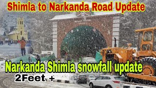 Shimla To Narkanda Road Updates  Narkanda Shimla snowfall update [upl. by Ggerc]