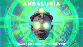 BLAKKAMOORE amp YUNGG TRIP  ANDALUSIA  FULL SPECTRUM ALBUM  20204 [upl. by Ahel]