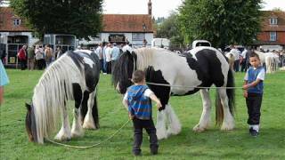 Gypsy cob horses Horsemonden Fair 2008 [upl. by Delle]