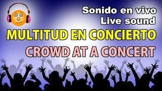 Gente gritando en un conciertoSonidoPeople screaming at a concert [upl. by Gruchot]