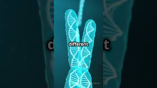 What Are Homologous Chromosomes Genetics 101 facts science biofacts cellformation cellbiology [upl. by Atinyl504]