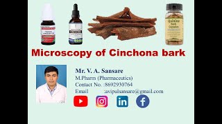 Microscopy of Cinchona bark Pharmacognosy GPAT preparation [upl. by Canale]