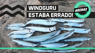 🌊 Windguru Falla Pesca de pejerrey en Arenas Verdes Panzon y Escardón escamudo pesca pejerrey [upl. by Aiym121]