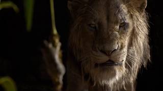 The Lion King 2019  Mufasa and Scar Talking Scene Hindi [upl. by Ilrebma428]