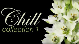 chill music collection 1  Flowers Time lapse  Free Music for Videos [upl. by Nguyen]