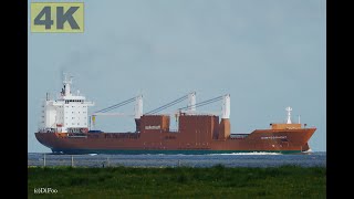 SAMPOGRACHT  Shipspotting Germany 🇩🇪 IMO 9288071  River Elbe near City Otterndorf  4K VIDEO [upl. by Sivat89]