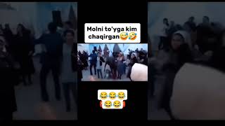 Molni toyga kim chaqirgan 😂👍 [upl. by Joliet534]