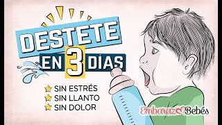 DESTETE en 3 DÍAS 👶🏼🍼 ¿Cuándo y cómo quitar el pecho al bebé  Embarazo y Bebés [upl. by Freeman]