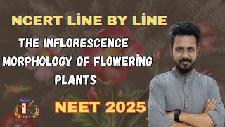 The inflorescence in tamil  Morphology of flowering plants 2025neet [upl. by Tennos880]