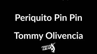 Periquito pin pin letra  Tommy Olivencia  Hector Tricoche Frases en Salsa [upl. by Osnofla362]