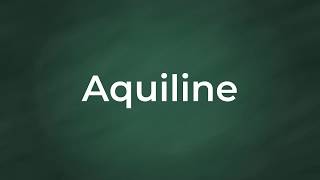 Aquiline  Definition Pronunciation Examples Synonyms [upl. by Alimhaj]