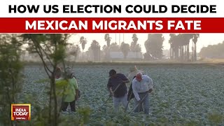 Migrants In Mexico Hold Their Breath During US Election As They Fear Mass Deportations [upl. by Ayikan]