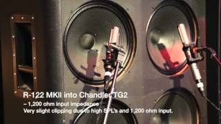 What is the difference in sound quality between the Royer R121 and Royer R122MKII [upl. by Marcella]