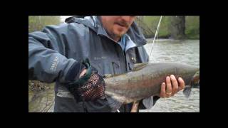 Fly Fishing for Steelhead  Conneaut Creek [upl. by Neggem174]