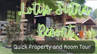 Lotus Sutra Resort Arambol Goa in 2024  Quick Property and Room Tour [upl. by Atteloc544]