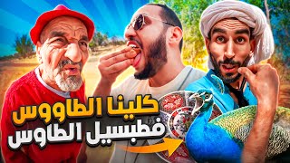 كلينا الطاوس فطبسيل الطاوس😳🤣 [upl. by Ruffina]