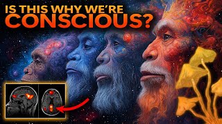 From Eden to Eleusis The Stoned Ape Theory in Light of New Evidence [upl. by Dewees]