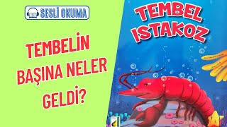 TEMBEL ISTAKOZ  Çocuklar İçin Sesli Okuma [upl. by Eugine]