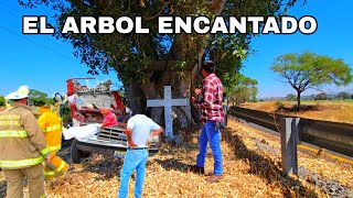 Visite la carretera más PELIGROSA de jalisco y el ÁRBOL más PELIGROSODOCUMENTAL [upl. by Eidnim]