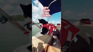 Dog on a boat Water Dog Joe 🤣😂 dog waterdog newepisode [upl. by Crosley426]