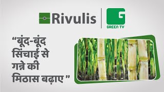 जानें कैसे अब DripIrrigation का लाभ मिलेगा गन्ना किसानों को [upl. by Atrebor]