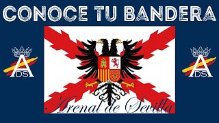 Historia de la Bandera de los Tercios de Flandes [upl. by Anire]