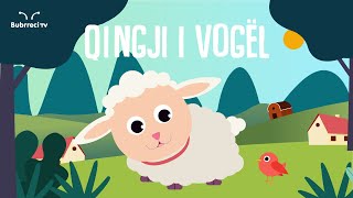 Qingji i Vogël  Këngë për Fëmijë  Bubrreci TV kengeperfemije [upl. by Yroggerg651]