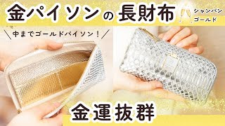 【金色のパイソン財布をお探しの方へ♡】金運抜群、シャンパンゴールドパイソンの理想的な縁起財布【風水財布研究家】 [upl. by Hendry455]