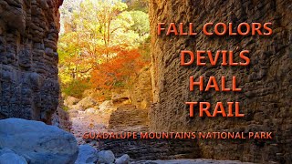 Fall Colors On The Devils Hall Trail Guadalupe Mountains National Park 1172023 [upl. by Euv]