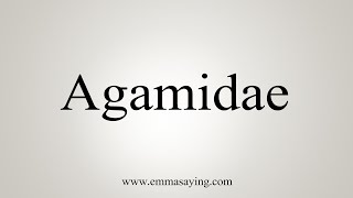 How To Say Agamidae [upl. by Enra230]