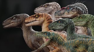 The Evolution of The Velociraptor Jurassic Park  Jurassic World [upl. by Tova]