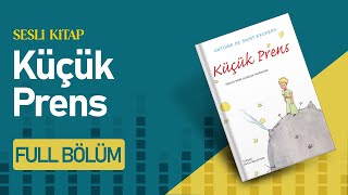 Küçük Prens Full Bölüm  Antoine de SaintExupéry Sesli Kitap  Kitap SesliKitap SesliKitapDinle [upl. by Ut]