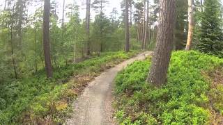 Anagach Woods MTB Trails Grantown on Spey [upl. by Nonnahsed211]