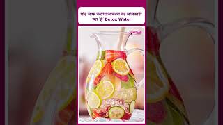 पोट साफ करण्यासोबतच वेट लॉससाठी प्या हे Detox Water I drink this Detox Water for weight loss [upl. by Kosse536]