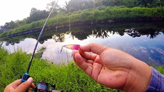 Micro Popper Fishing in Freshwater Philippines  Tarpon Fishing with Ultralight Tackle ulfishing [upl. by Repsag76]