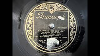 BUILDING A NEST FOR MARY THE CAPTIVATORS 78rpm [upl. by Eedya]