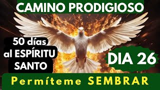 día 26 🔥🙏 CAMINO PRODIGIOSO 50 DÍAS AL ESPÍRITU SANTO [upl. by Arol235]