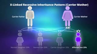 What is Xlinked Recessive Inheritance [upl. by Varian]