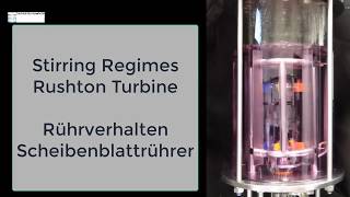 Rushton Turbine in a glass fermentor going through its paces [upl. by Olympium729]